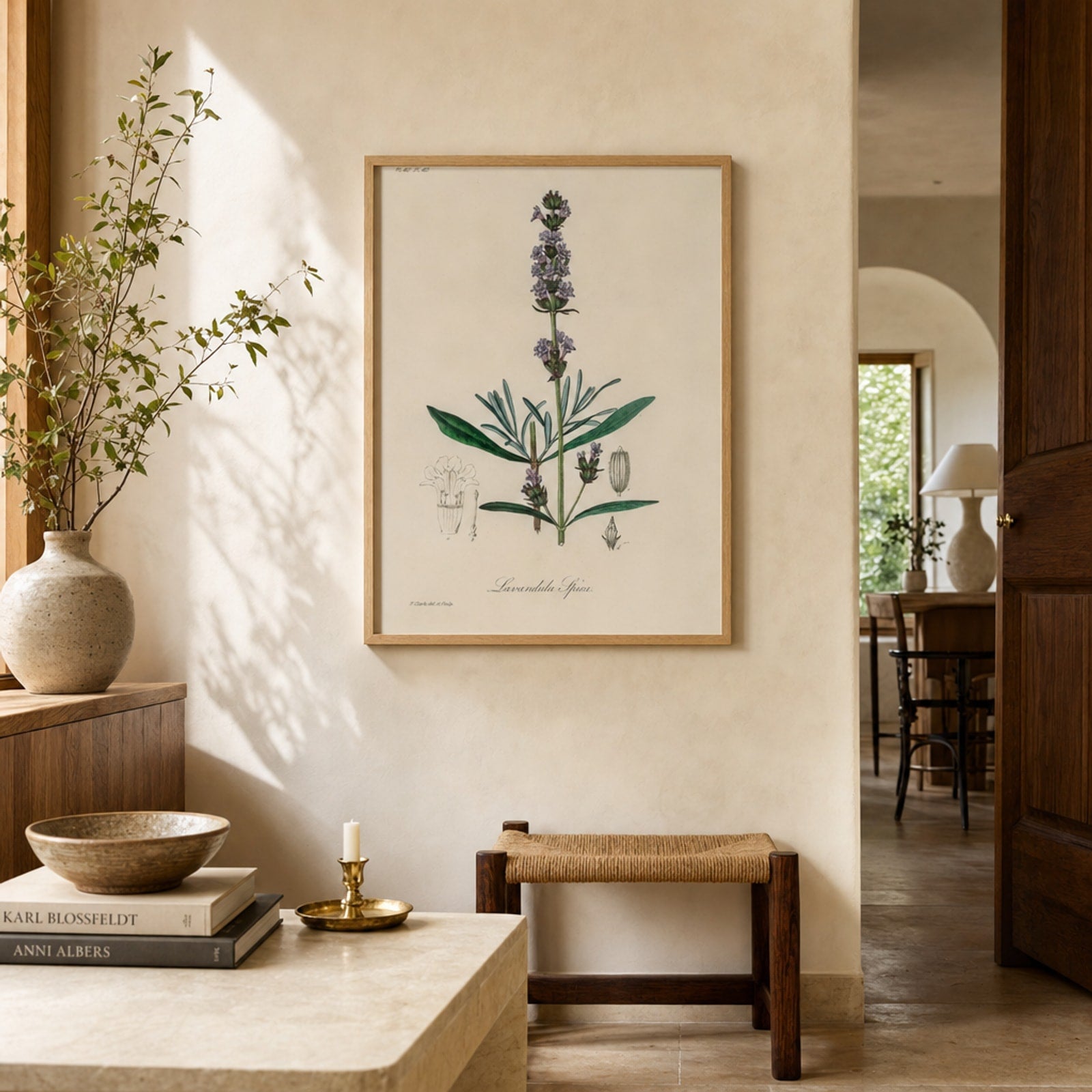 Miljöbild för Lavandula Ipica