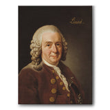 Carl von Linnaeus
