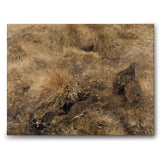 Autumn landscape with partridges