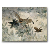 Goshawks and Buzzards