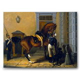 Carl XV's Favorite Horse Gentleman