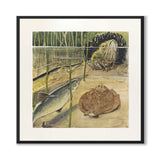 Den nysgjerrige abboren