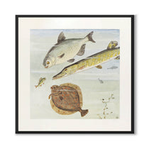 The Curious Perch as a poster for a children's room from Historly – image 1