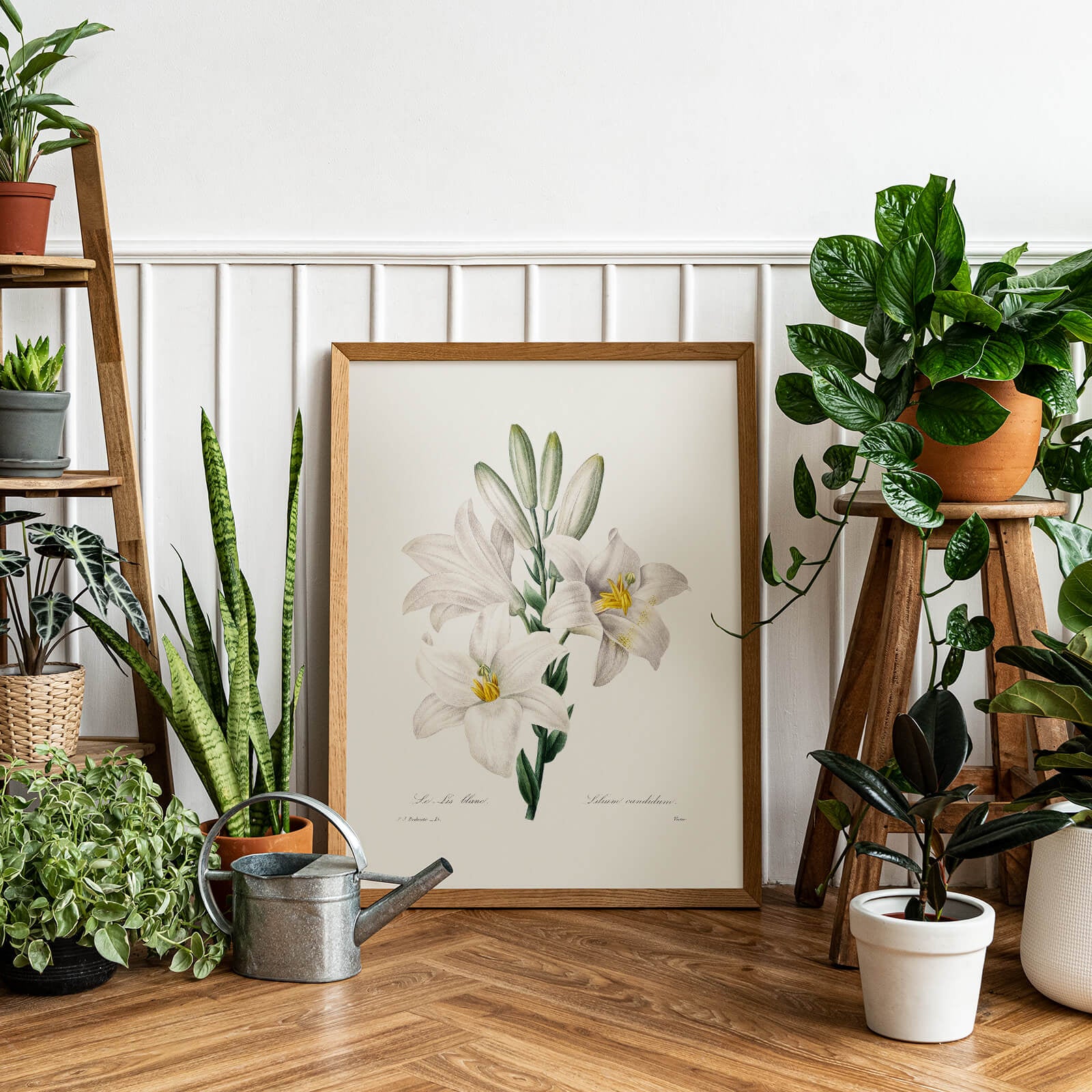 Madonna Lily as a poster from Historly – image 2