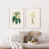 William Curtis in 1803