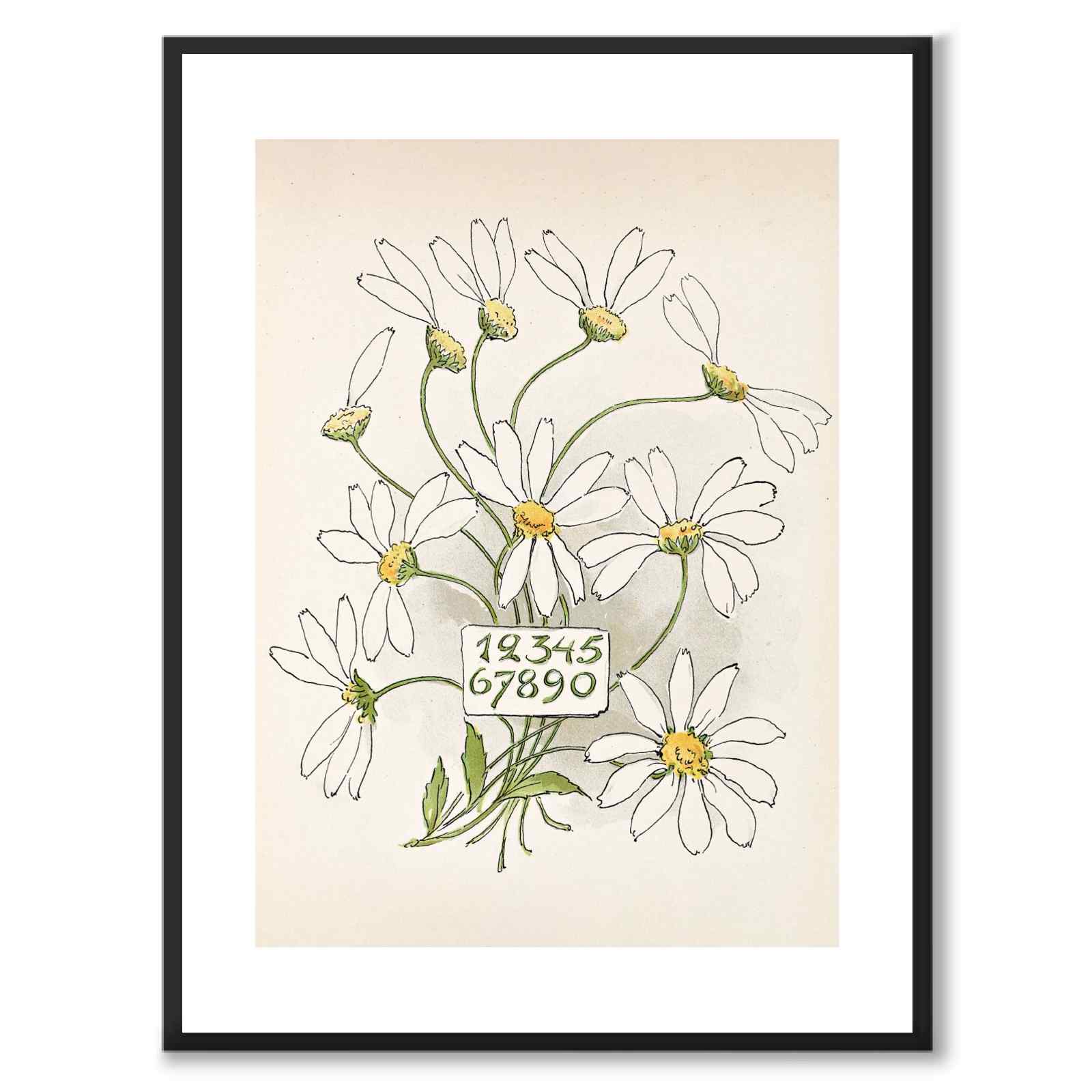 Tall - Prinsens blomsteralfabet