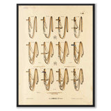 La Sellerie Camille No.33