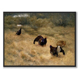 Orrspel i Mossen (Orrleik på myra)