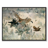 Pigeon hawk and Orrar