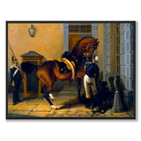 Carl XV's Favorite Horse Gentleman