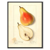 Pære 