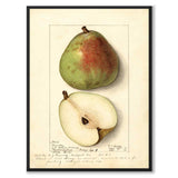 Pear