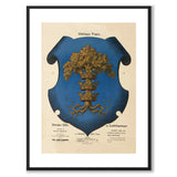 Blekinges Landsvåpen 