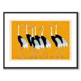 Japanese Red Crowned Crane