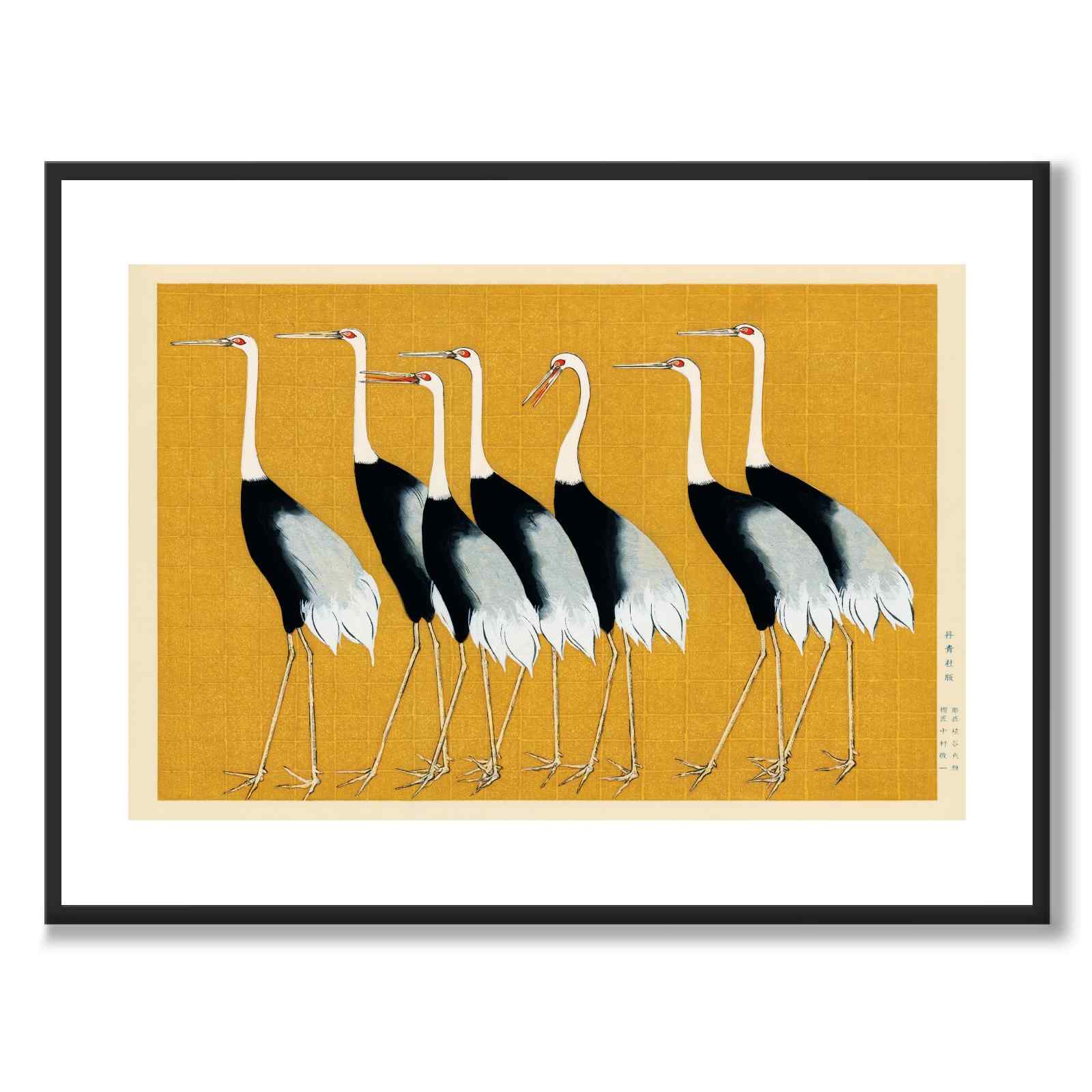 Japansk rød kronet kran