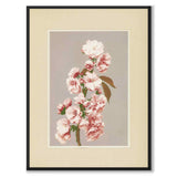 Cherry Blossom av Kazumasa Ogawa som japansk poster – helbild