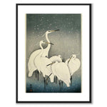 Group of Egrets in Snow av Ohara Koson som japansk poster – med vit kant