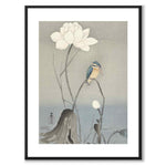 Kingfisher som japansk poster - vit kant