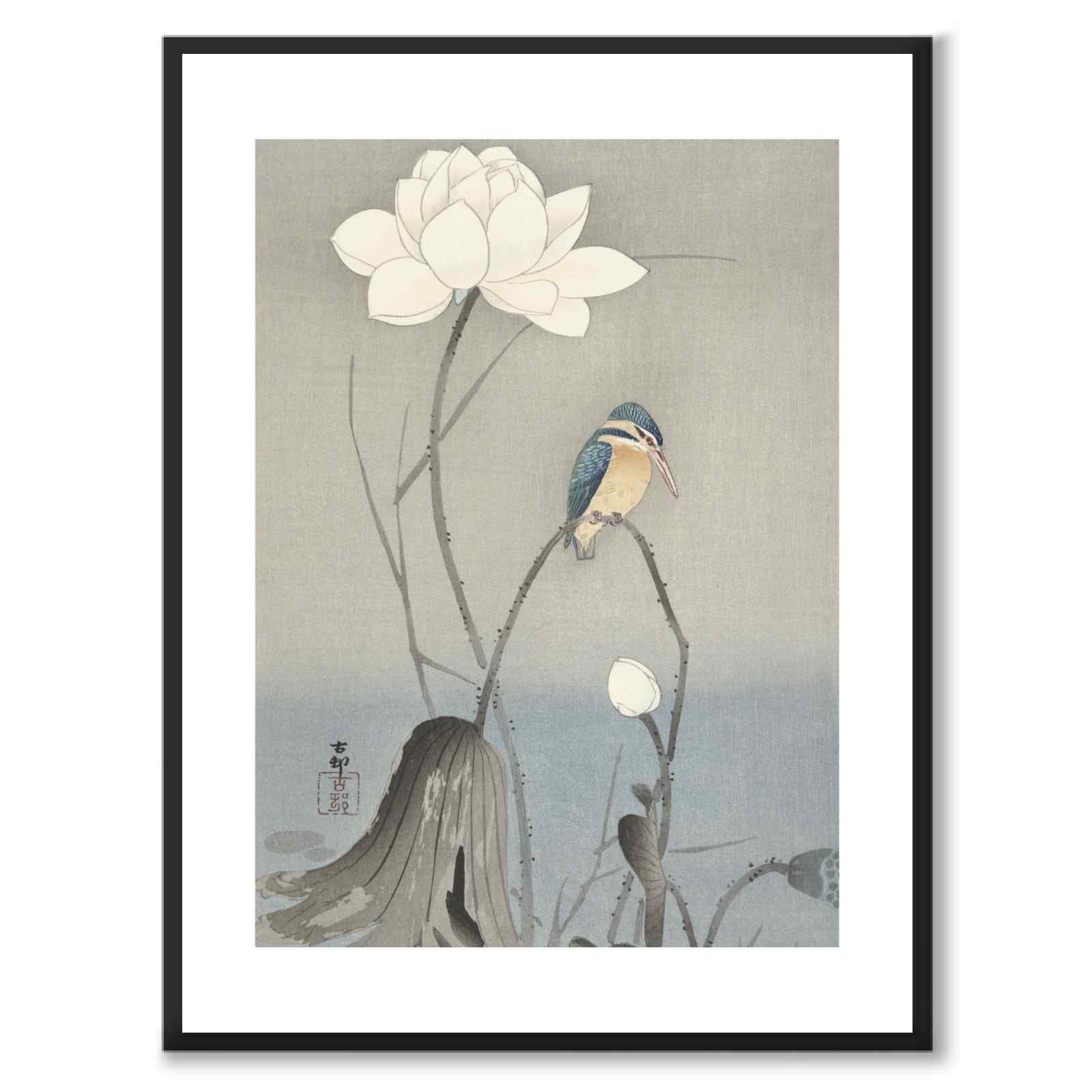 Kingfisher som japansk poster - vit kant