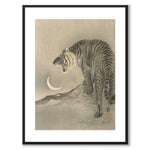 Tiger som japansk poster - vit kant