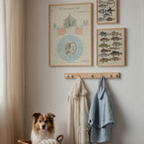 Oken Naturalia - Abbor