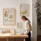 The ABC journey, M L