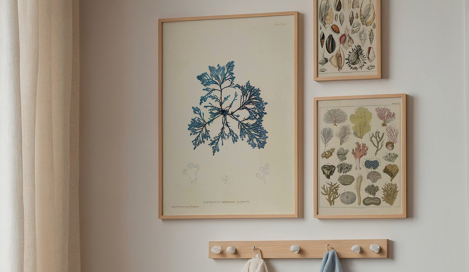 Oken Naturalia - Corals as wall art in an inspiring interior setting