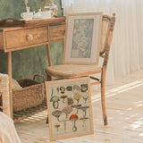 Oken Naturalia - Giftig sopp