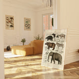 Oken Naturalia - Eksotiske dyr