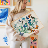 European Butterflies