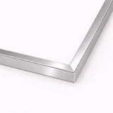 Picture frame - Silver colored Metal