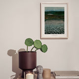 Flower Meadow in the North