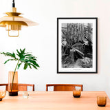 Swedish Forest Workers