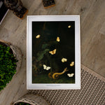 Herbs, Butterflies and a Serpent - Historly AB