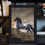 Black Collection - The Blue Tiger - Historly AB