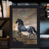 Black Collection - The Blue Tiger - Historly AB