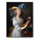 Marie Antoinette