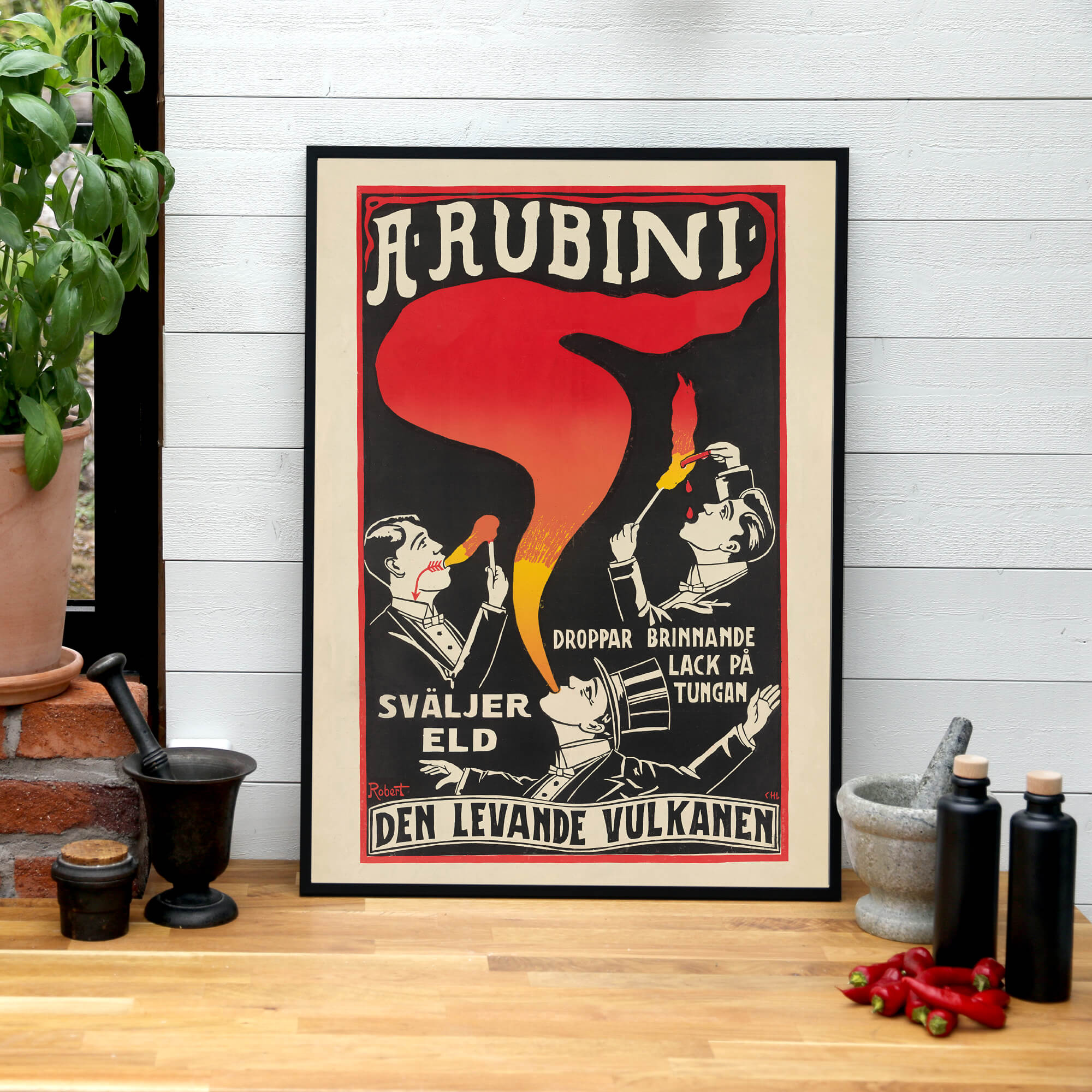 Den levande vulkanen - Historly AB