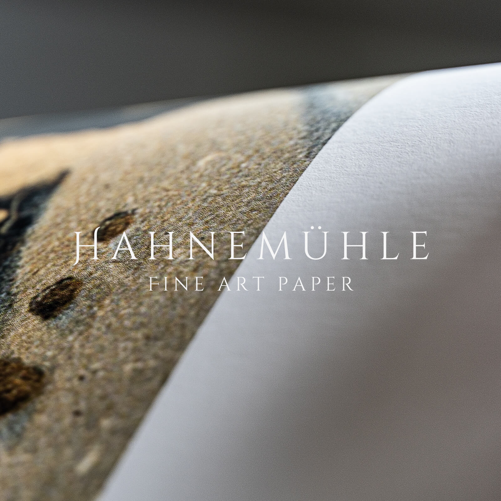 Dodge City 300 - Historly AB