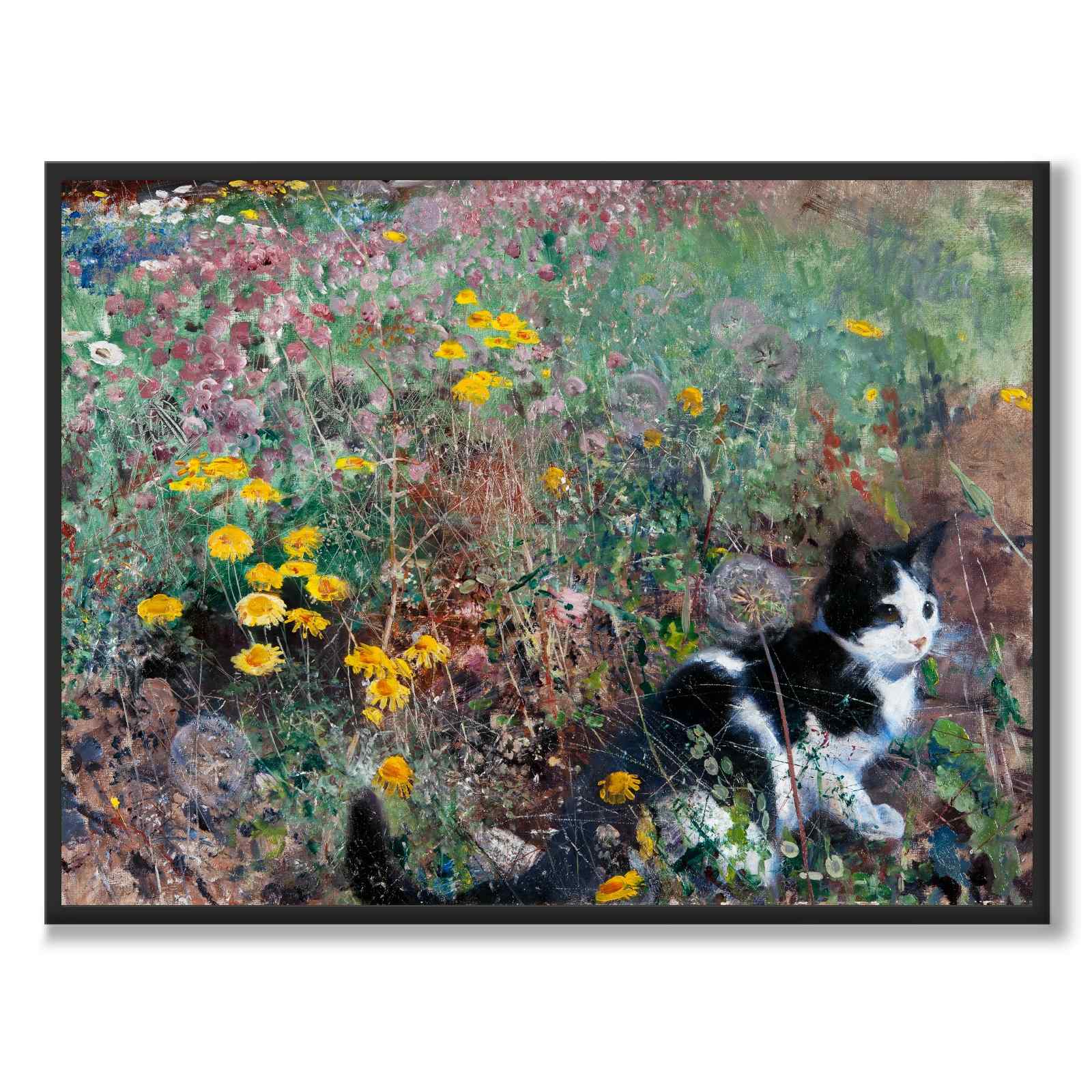 Katt på en blomstereng