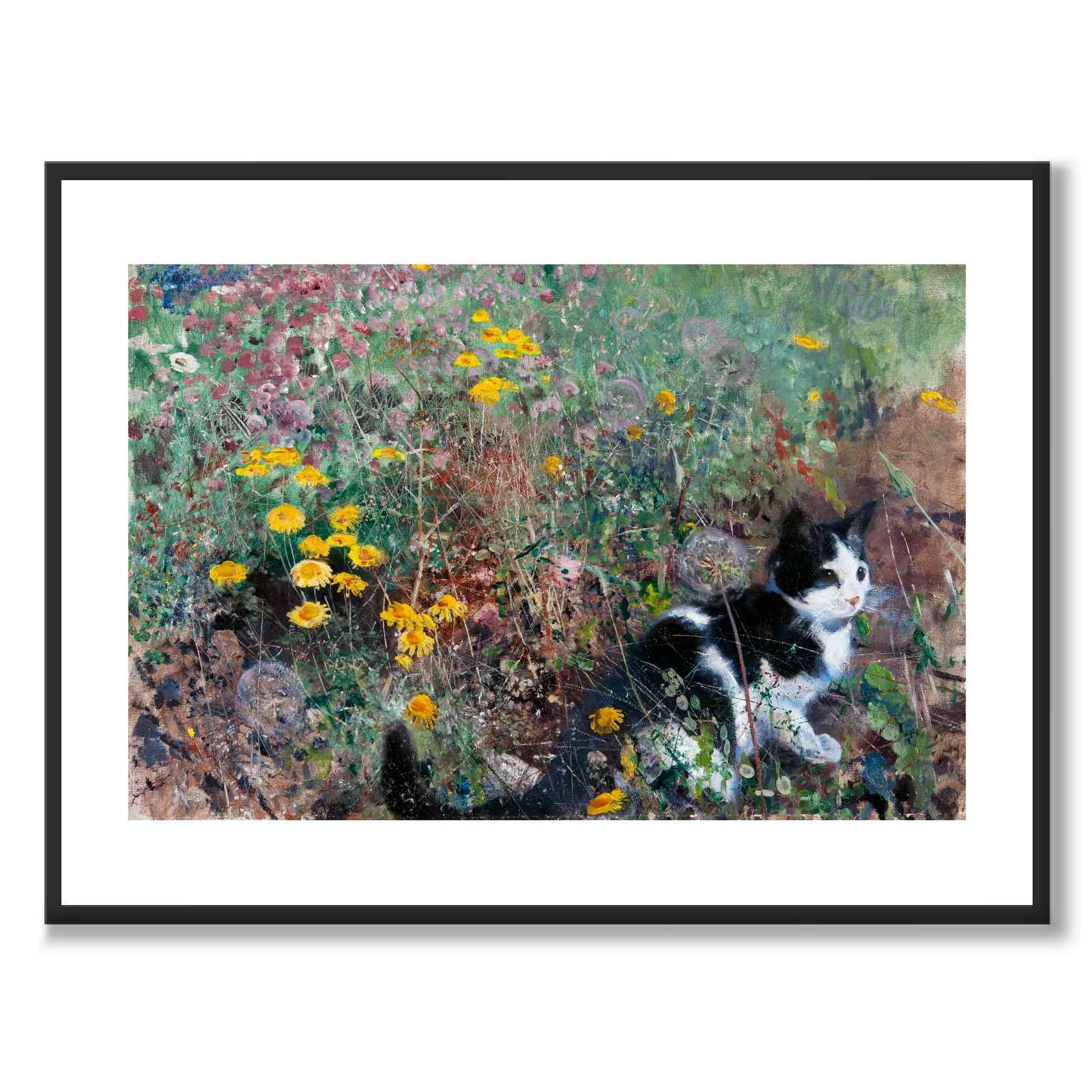 Katt på en blomstereng