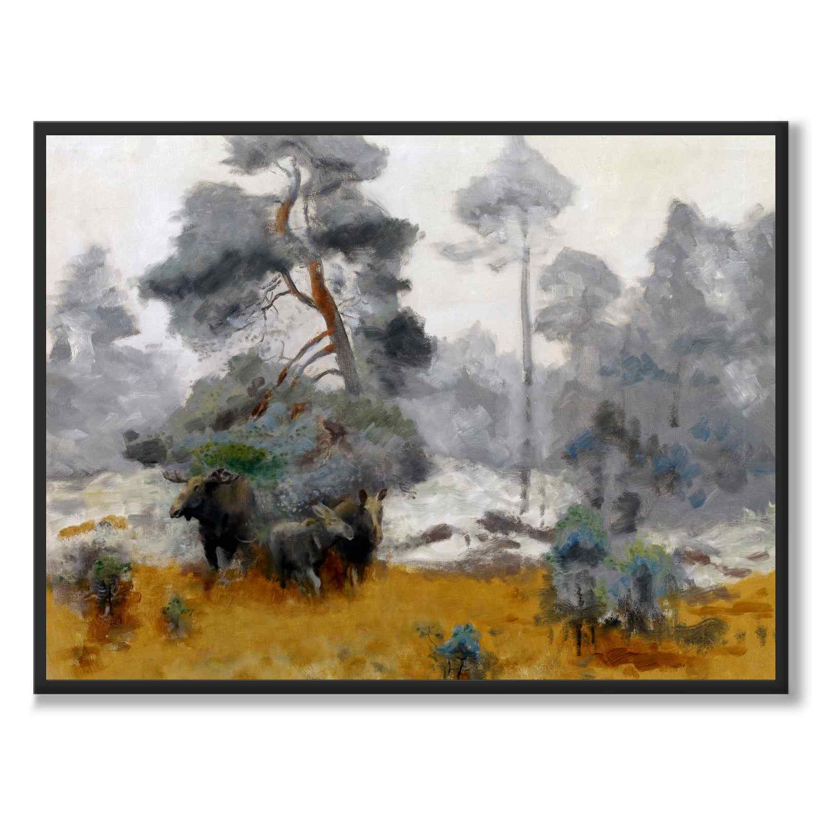 Elgfamilie på vei inn i en lysning