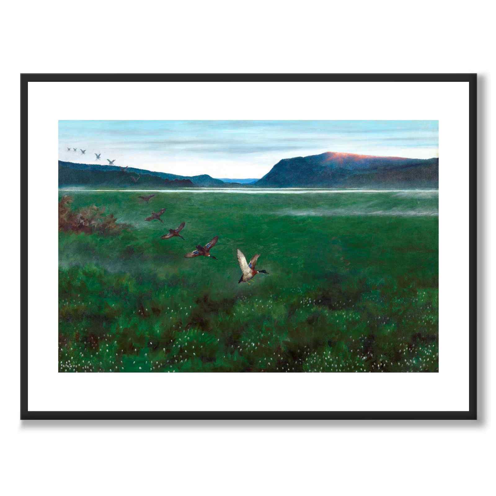 The Twelve Wild Ducks