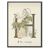 Princes Flower Alphabet AM