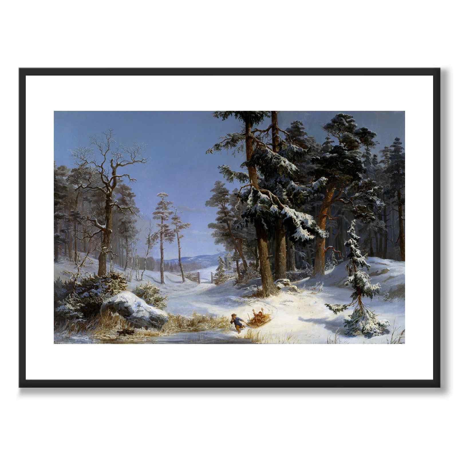Winter landscape