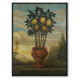 Orange Tree in an Urn