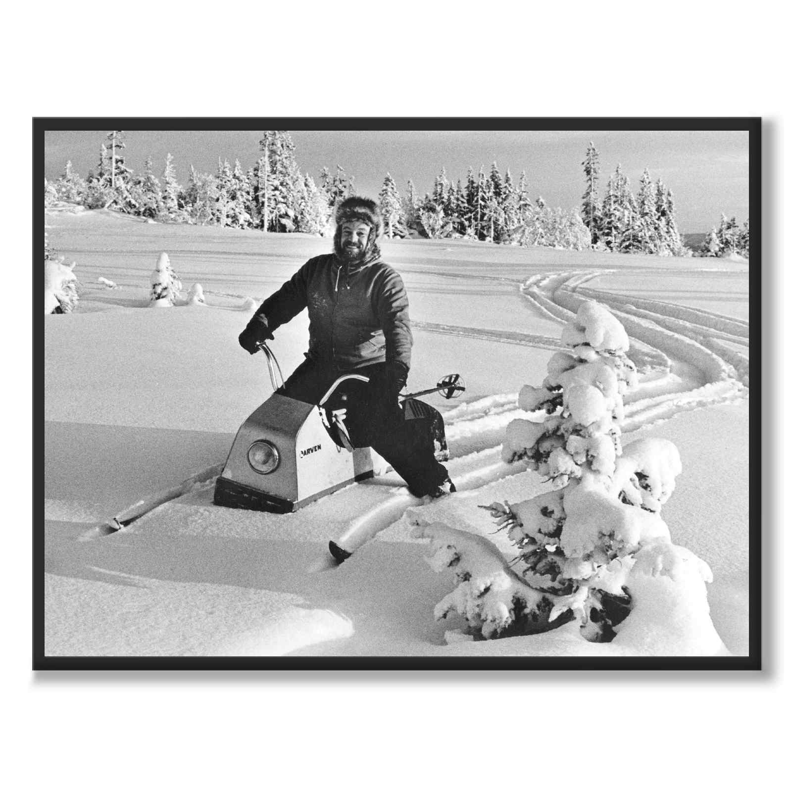 The caterpillar in 1965