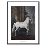 Karl XIs livshest strålende