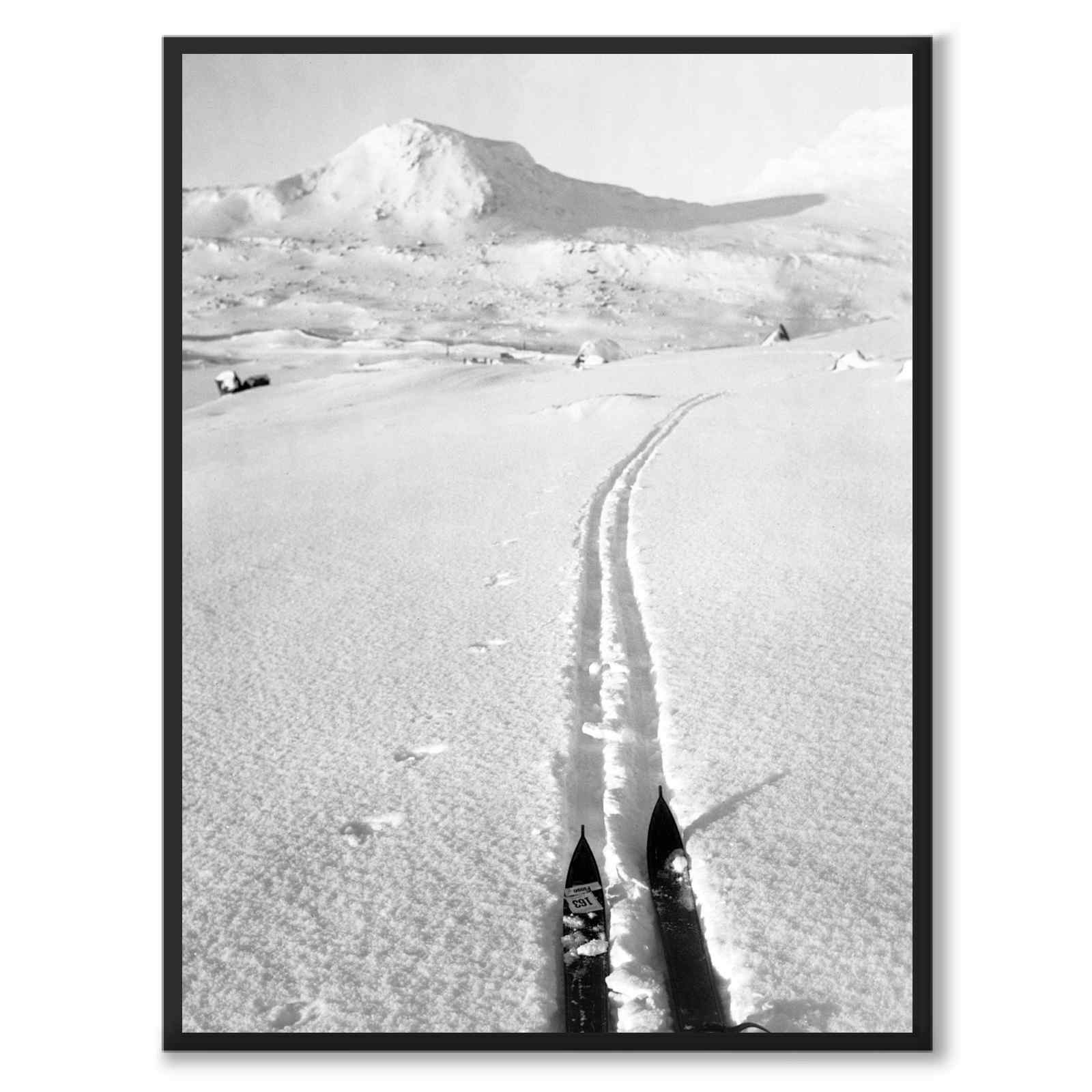 En Løipe med Skispidse