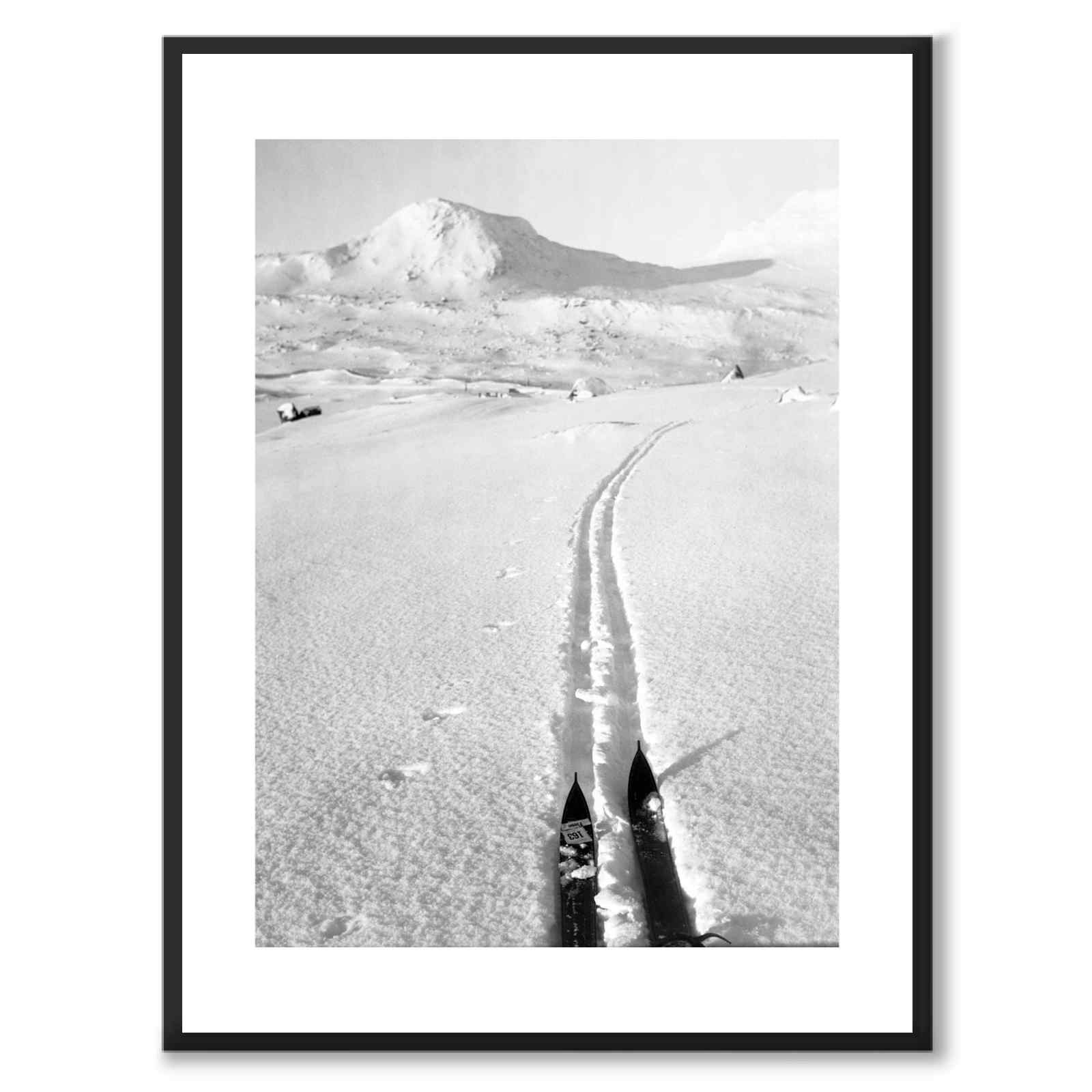 En Løipe med Skispidse